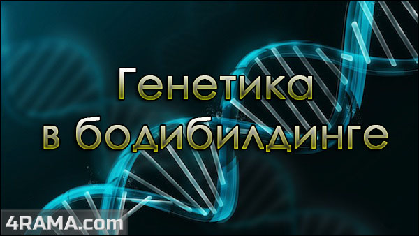 Генетика в бодибилдинге - Бодибилдинг форум AnabolicShops