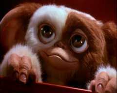 Gizmo